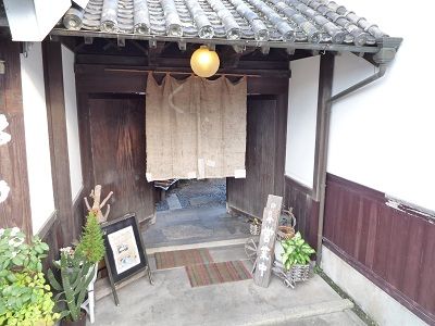 くらら1