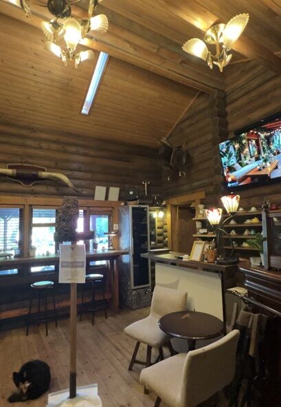 owl cafe2