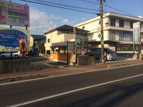 このぶたやろう~1