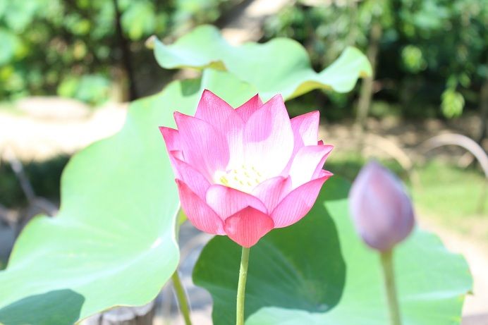 後楽園6