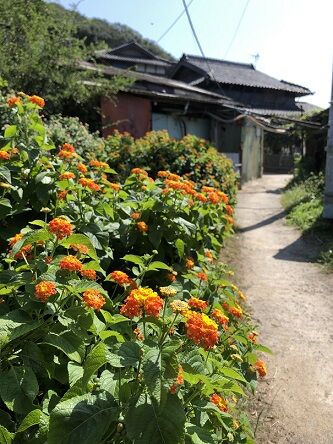 太進館5