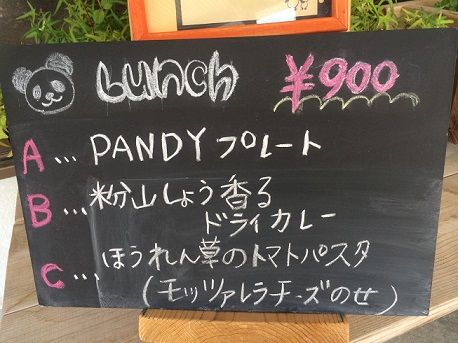 PANDY2