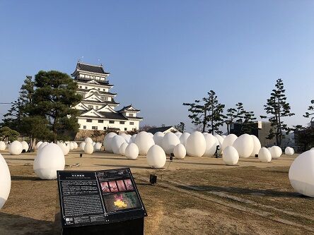光の祭2