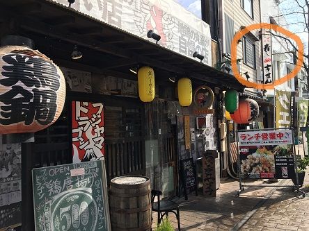 フジヤマドラゴン8