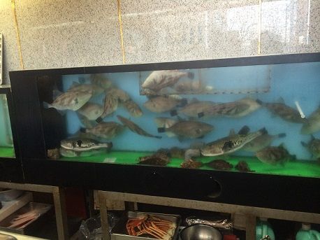一休総本店4