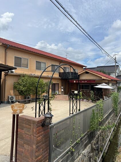 メルシー1
