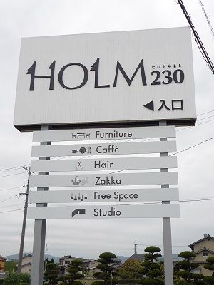 holm230.jpg