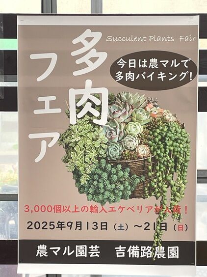 農マルぶどう10