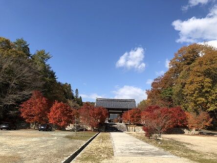 光信寺1