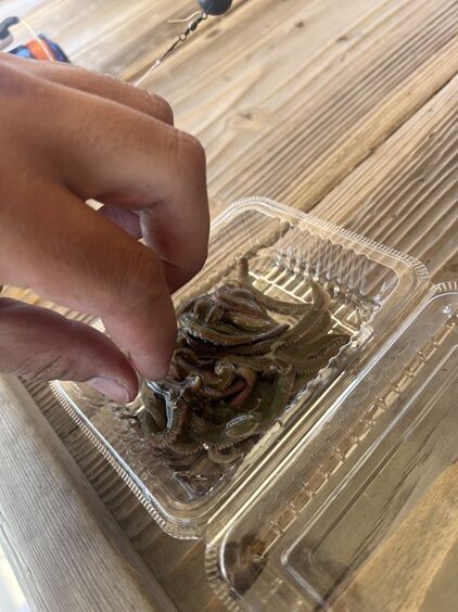 木造遊漁船7