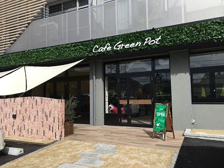 cafegreenpot1