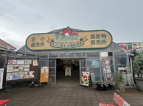 農マルぶどう1