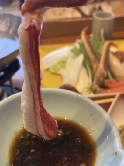 甲羅9