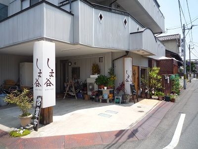 しま谷1