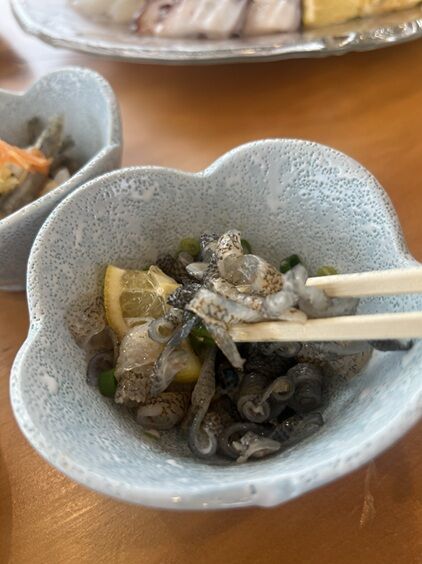 岡崎丸5