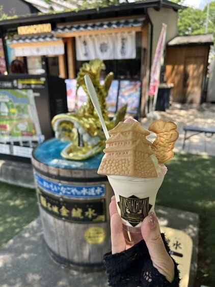 nagoyatabi49