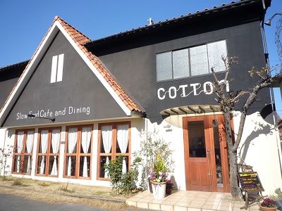 cotton1.jpg