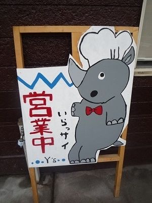 2013Ys91.jpg