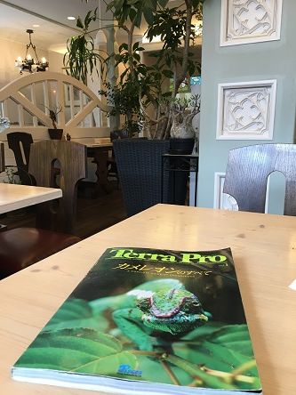 フォーシーズン11