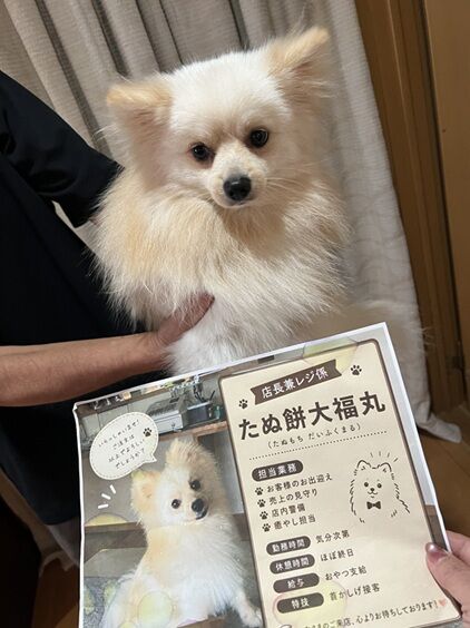 メルシー6
