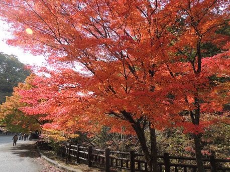 帝釈峡1