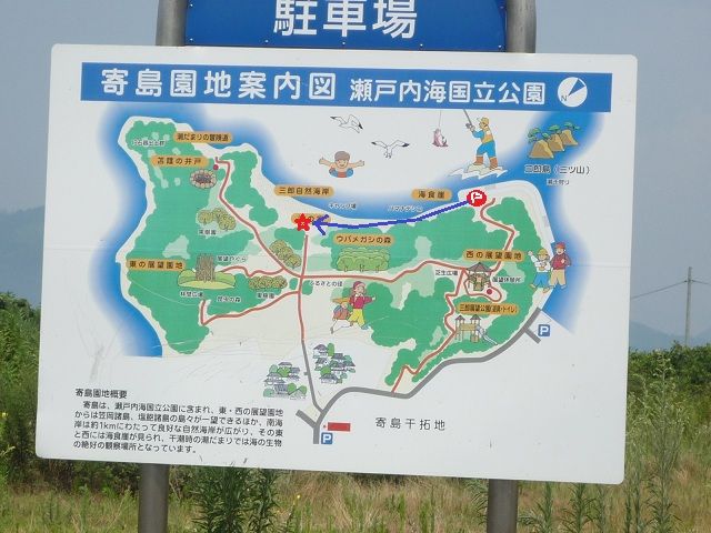 Yoshi-Tsune9.jpg
