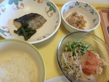 16日昼b
