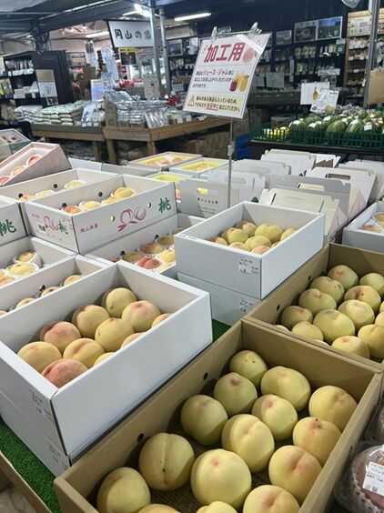 momo農マル6