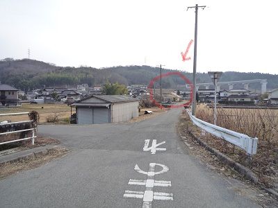 とことこぴょーん1