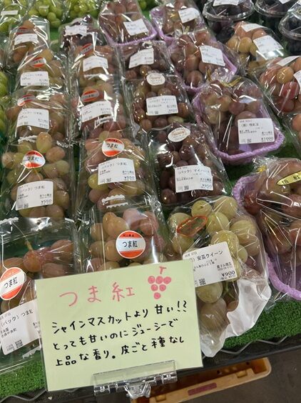 農マルぶどう13