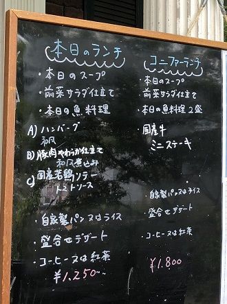 コニファー2