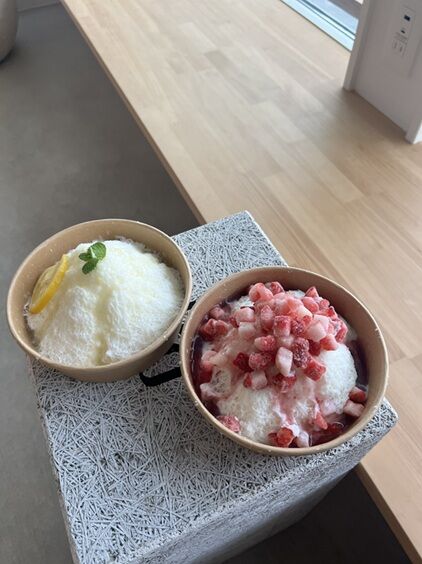 ga-o氷6