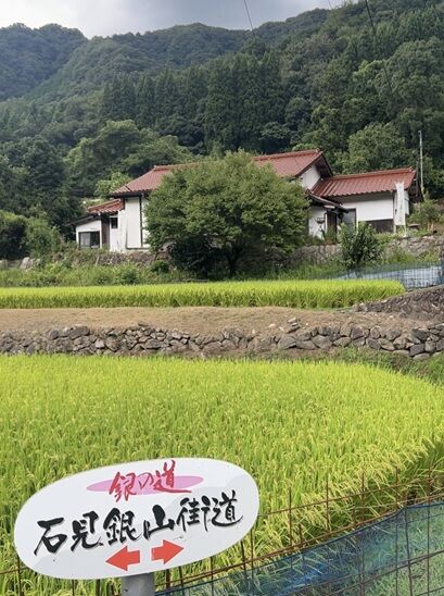 momoju庵1