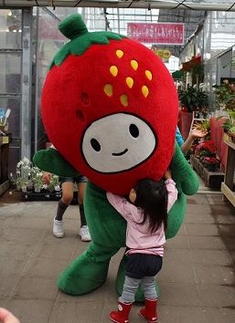 農マル園芸5