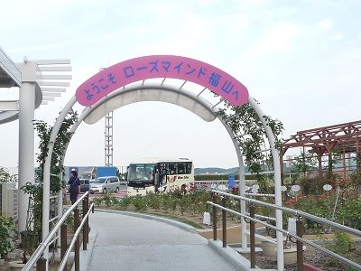 入口