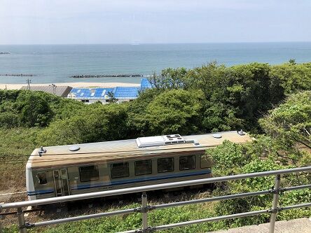 和田珍味カフェ11