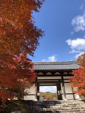 光信寺2