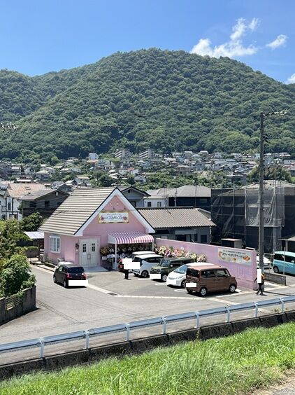 ダリア11