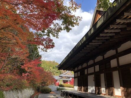 光信寺6
