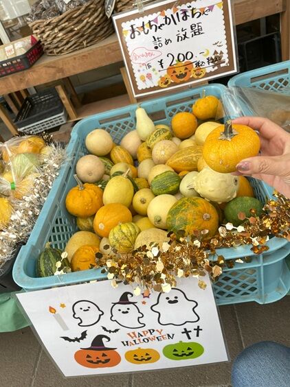 農マルぶどう14