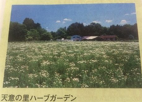 天意の里12