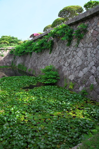 hakodate-2852