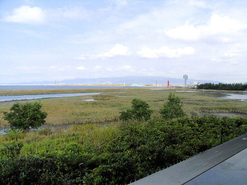 大阪南港野鳥園へ Luckybook S Photo Square 2 大阪南港野鳥園へ Luckybook S Photo Square 2