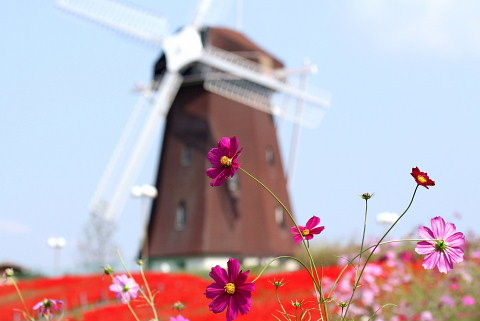 鶴見緑地へ その1 Luckybook S Photo Square 2 鶴見緑地へ その1 Luckybook S Photo Square 2