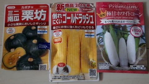 2020-03-29 種3種