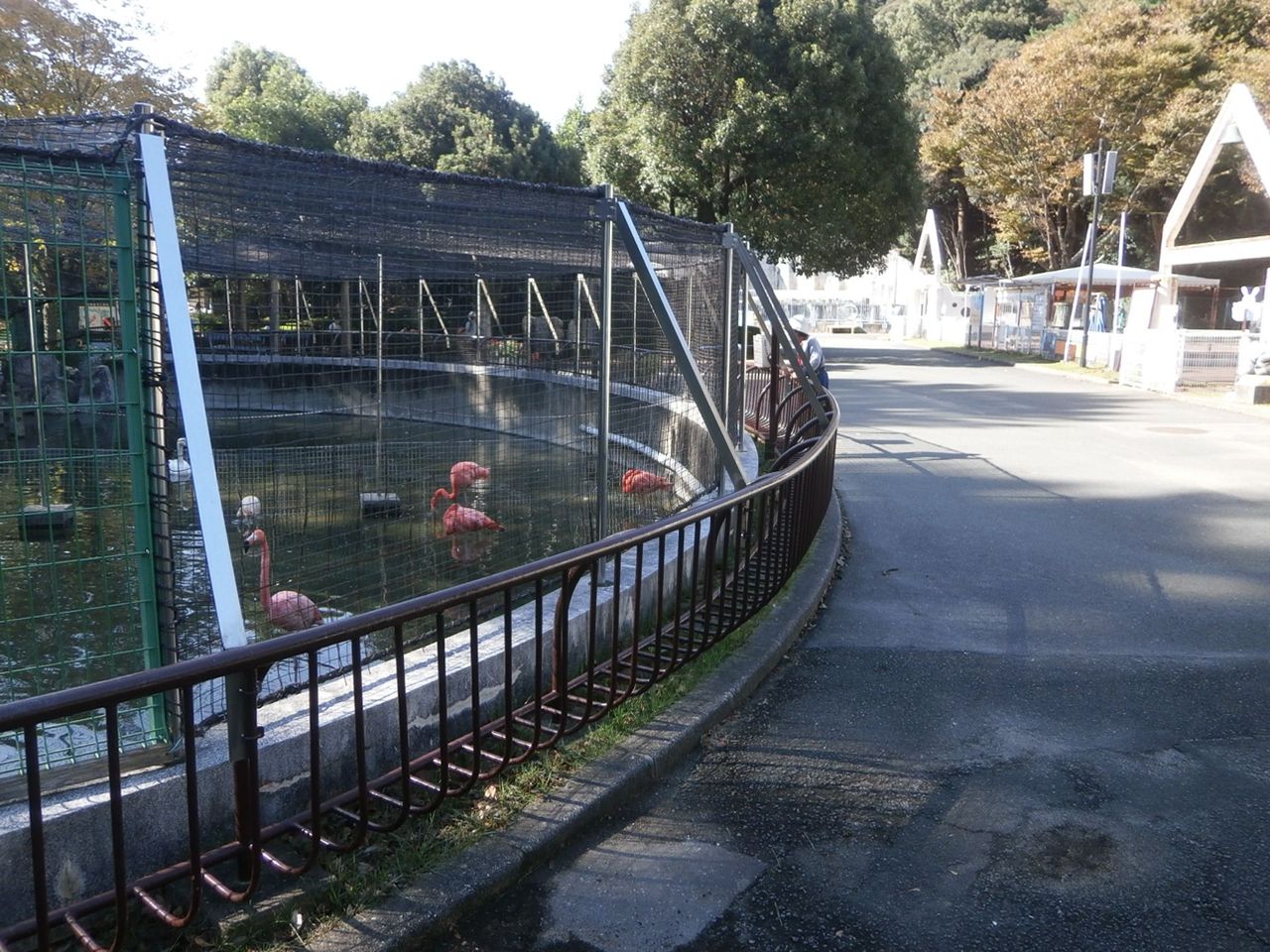 イメージ 5