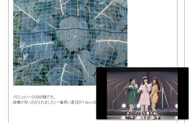 イメージ 4