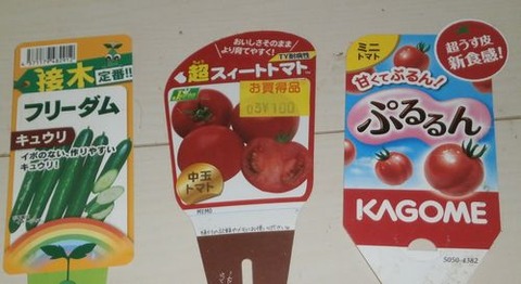 2020-31 ラベル