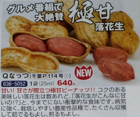 2020-01-19 Qなっつ