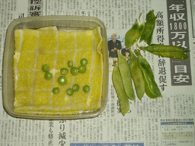 イメージ 4